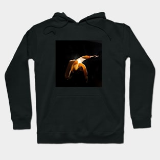 Glorious Classic Beautiful Banana Photography Hoodie